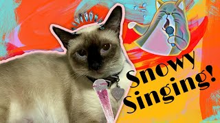 THE TALKING CAT | Snowy singing! Longing for her love... #Siamese #Cat #SnowyTheMagnificat by SNOWY THE MAGNIFICAT 274 views 3 years ago 32 seconds