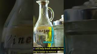 Remove Mold And Mildew Fast Works Every Time