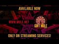 Gov't Mule Live at The Angel Orensanz Center / New York City / December 28, 2008 album teaser
