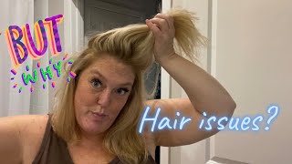 HONEST Monat Review and Tutorial 2020