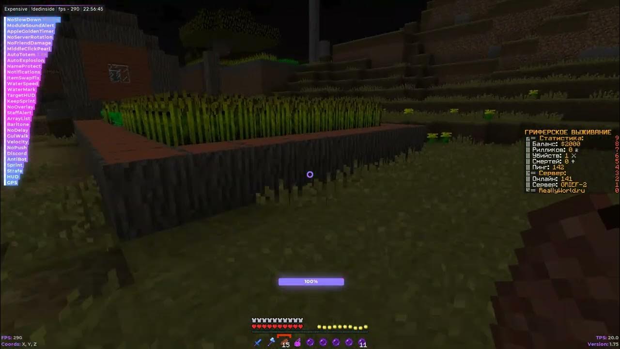 Экспенсив кряк. Expensiveclient xyz. Реали ворлд. Expensive чит. Хвх сервера.