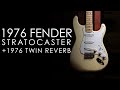 "Pick of the Day" - 1976 Fender Stratocaster and Twin Reverb
