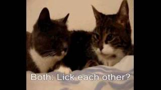 The Two Talking Cats [English Subtitles]