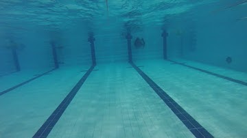 DNF (Dynamic No Fins) - Pool Freediving