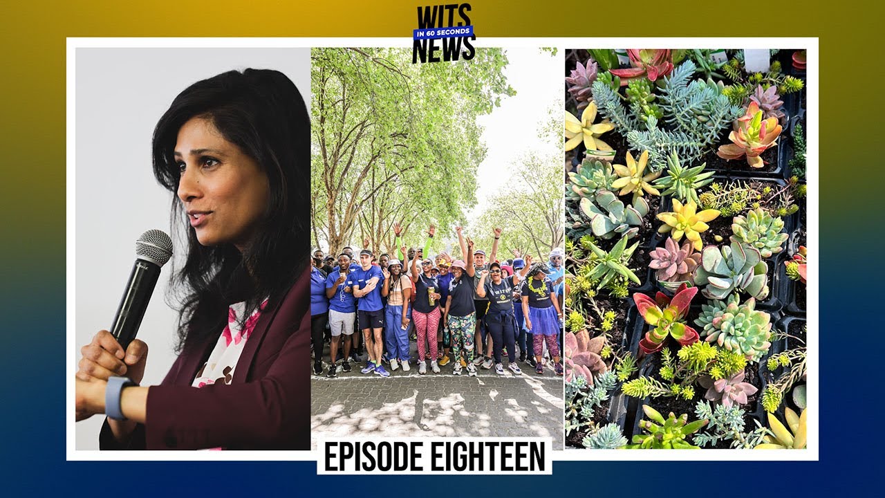 Wits in 60 Seconds | Episode 18: Your weekly Wits News digest