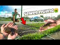 SEWER FISHING for AQUARIUM FISH! (GROSS)