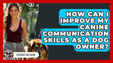 How Can I Improve My Canine Communication Skills as a Dog Owner? | Obedient Dog Guide