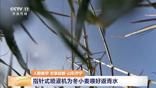 [中国三农报道]人勤春早 农事启新 山东济宁 指针式喷灌机为冬小麦喂好返青水 | 农业致富经 Agriculture And Farming