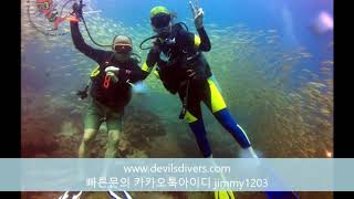 【푸켓다이빙】【시밀란리브어보드】피피섬펀다이빙【SSI강사과정】【普吉島韓國餐廳】【普吉島水肺潛水店】DEVILSDIVERS