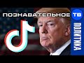 Почему Трамп запретил TikTok и WeChat