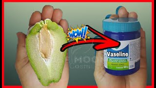 Si vous mélangez ce fruit  avec de la vaseline ce qui se passe dans le corps est incroyable