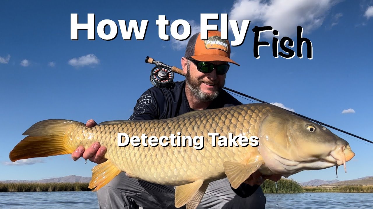 How to Fly Fish for Carp - Detecting Takes - Carp On The Fly 