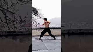 Tribute to Bruce lee #kungfu #kungfustyle #dance #chinesemartialarts #martialarts #learnkungfu