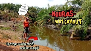 Nguras parit gambut || spot lumpur terdalam namun ikannya banyak