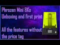 Phrozen mini 8ks  unboxing and first print