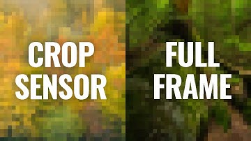 Crop Sensor OR Full Frame? Can You Even Tell?