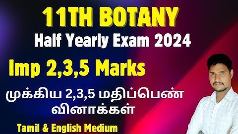 11th Botany Important 2,3,5 Mark Questions| Half Yearly Exam 2024