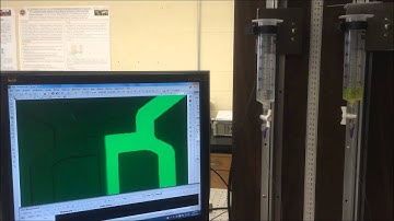 Integrated Perfusion and Separation System for Entrainment of Insulin Secretion from Islets...