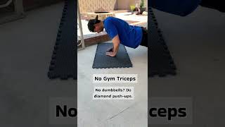 No Gym Triceps Workout. #nogym #nogymnoexcuse #triceps #tricepsworkout #exercise #exerciseathome