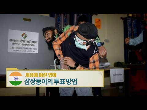 인도, 샴쌍둥이의 투표 방법 [세상에 이런 법이?]