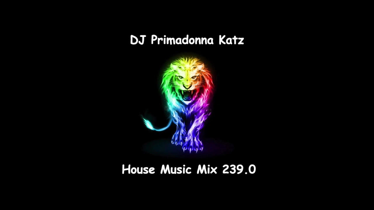 House Music Mix 239.0
