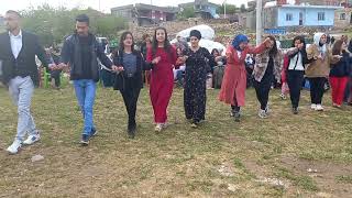 Mardin Şanlı Köyü düğünü