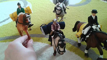 Co se týče ustájení koní?