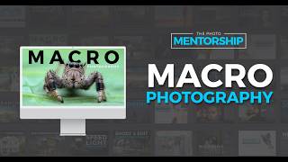 Macro Photography | Equipment, Technique, Composition & On Location