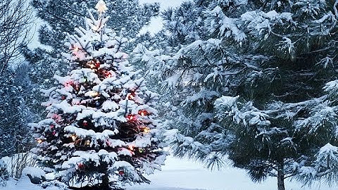COLINDE DE CRACIUN ⛄️🎁 MIX DE 2 ORE ✨❄️