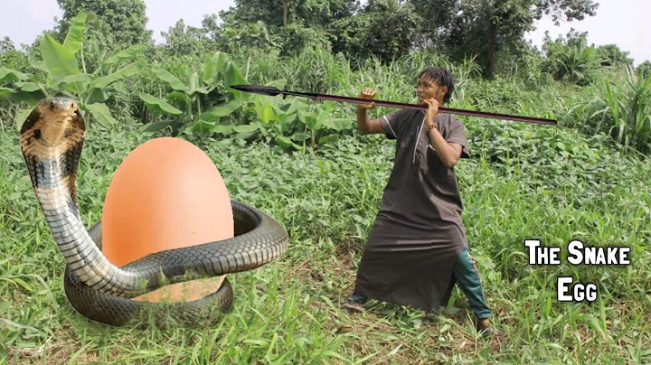 The Snake Egg | Mark Angel Comedy | OGB Recent | Sirbalo Comedy | Brainjotter Comedian