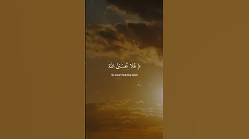 فلا تحسبن الله مخلف وعده رسله|| القارئ:عبدالرحمن مسعد