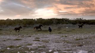 Miniatura de vídeo de "Freshlyground - Don't Leave Me"