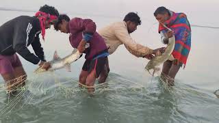 शिकार करने के लिए ऐसा मौका कभी-कभी मिलता है लेकिन आज तो कमाल ही हो गया #fishhunting2