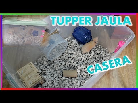 Video: Cómo Hacer Jaulas Para Hámsters