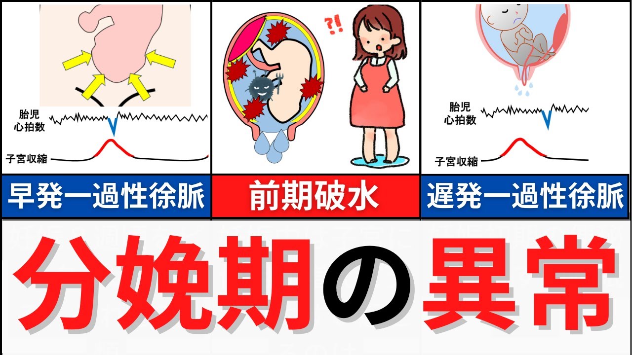 【15分で解説、45分で国試問題】分娩期の異常について解説