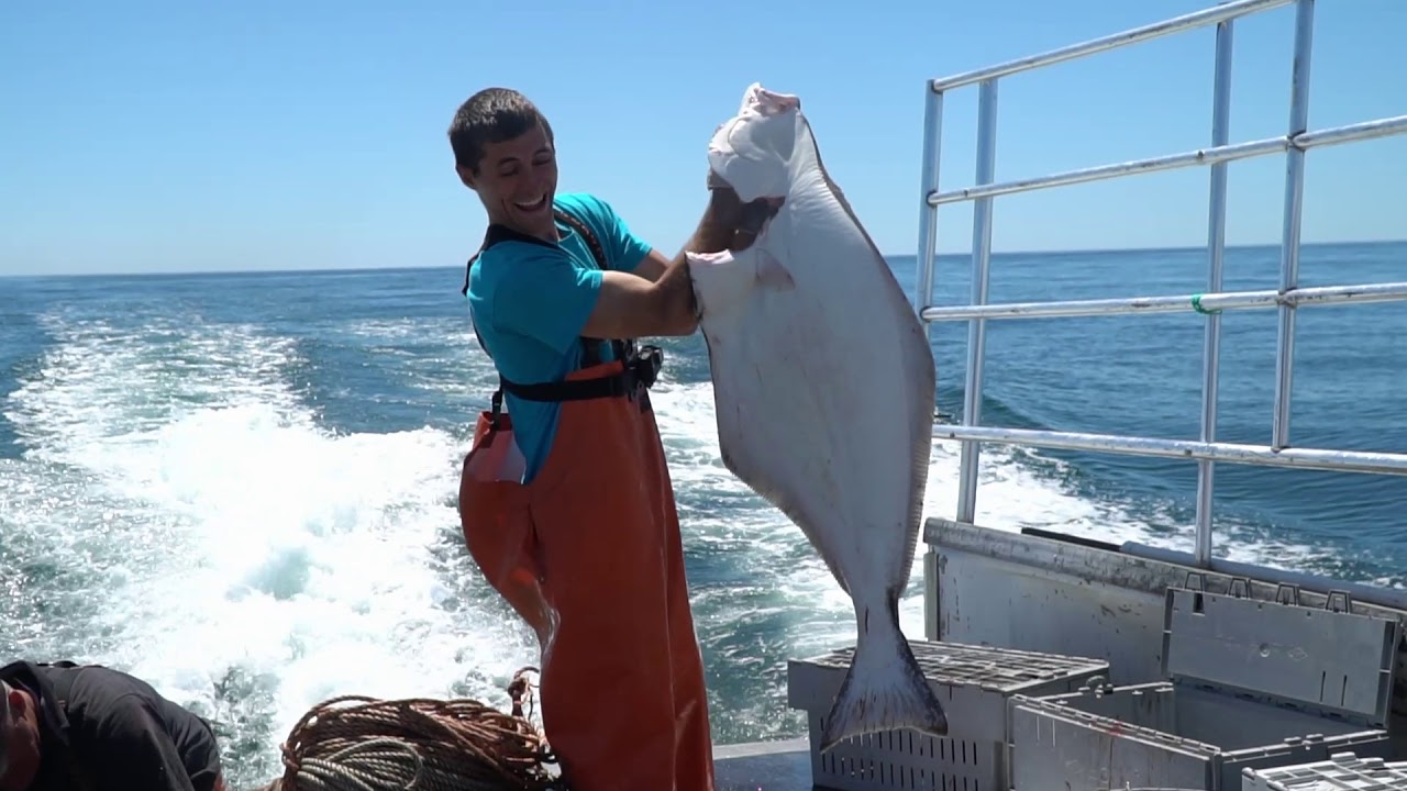 Maine Halibut fishing 2020! Catch and cook! My favorite fish to eat