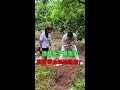 浩哥今天远赴乡里收翡翠#翡翠 #vlog #翡翠毛料#翡翠珠宝