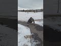 outdoors pushups in nature #workout#pushups#challemge#snow#nature
