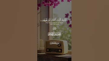 آيات من سورة الحجرات بصوت عذب يريح القلوب | الشيخ #الحصري #اكسبلور