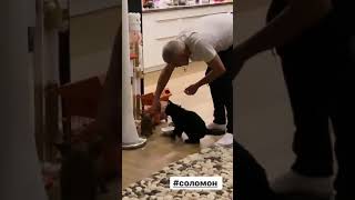 Дима Билан кормит кота Соломона
