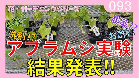 牛乳スプレー Youtube