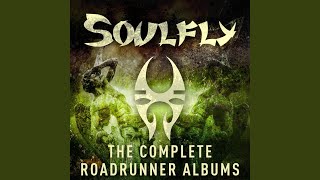 Soulfly VI