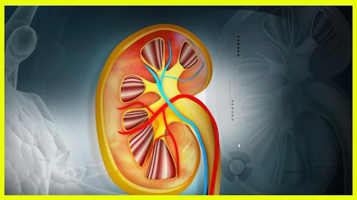 Diuretic Foods that Cleanse Your Body