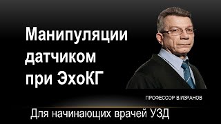 Виды манипуляций датчиком при эхокардиографическом исследовании. Лекция для начинающих врачей УЗД.