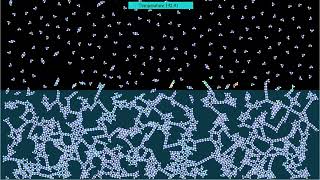 Terminal Frost Trying To Grow Some Snowflakes