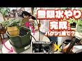 【植物】無限水やり完成！バケツ1個で植物の水やりが完結（植物好きにはたまらないアイテムをご紹介します）