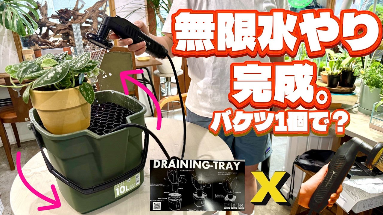 【植物】無限水やり完成！バケツ1個で植物の水やりが完結（植物好きにはたまらないアイテムをご紹介します）