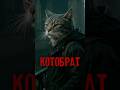 😎🐾«Котобрат» – пушистая версия культовой истории о силе по-русски