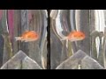 AQUARIUM INTERIOR DESIGN