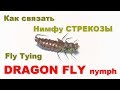 Как связать нимфу Стрекозы Realistic Dragonfly nymph fly tying lessons